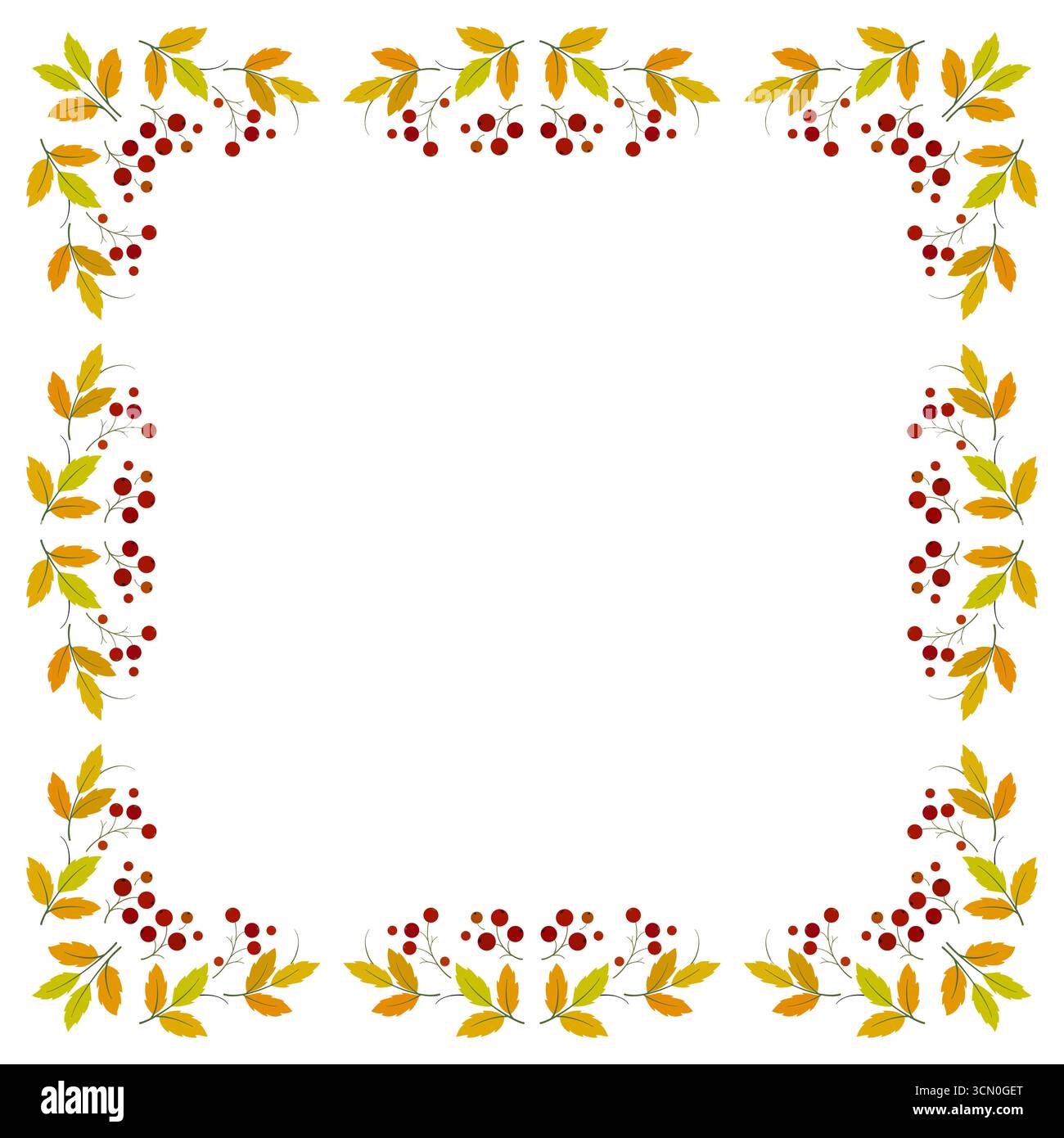 Cornice autunnale di rowan con spazio per il testo. Ornamento floreale quadrato. Cartolina natalizia con foglie e frutti di bosco luminosi su sfondo bianco. Decorazioni autunnali per Tha Illustrazione Vettoriale