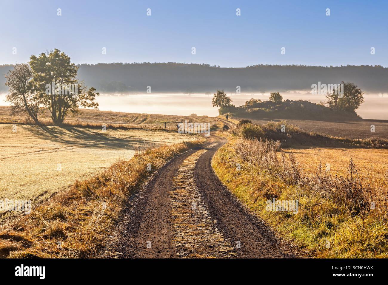 Tortuosa strada di ghiaia in un paesaggio rurale con nebbia mattutina in autunno Foto Stock