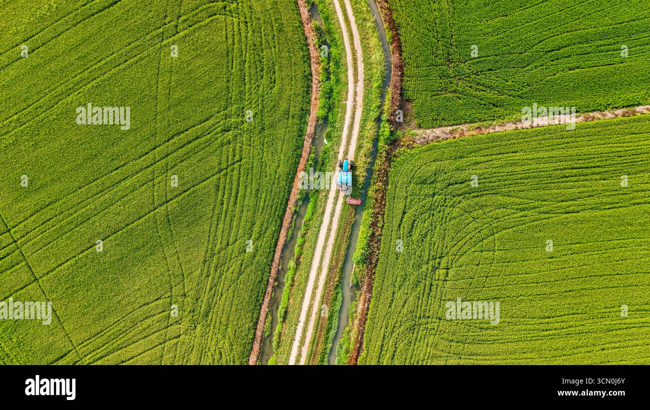 Drone aereo verticale di un trattore che si muove attraverso i campi di riso in Italia. Concetto di agricoltura di precisione, geometria dei terreni agricoli e farmi sostenibili Foto Stock