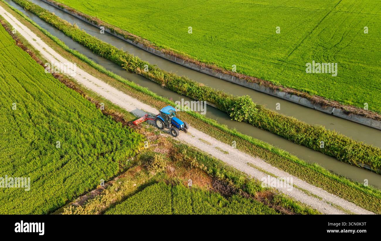 Vista aerea di un trattore blu che guida lungo una strada sterrata tra rigogliosi campi di riso verdi nel nord Italia. Concetto di agricoltura, macchine agricole, a. Foto Stock Vista aerea di un trattore blu che guida lungo una strada sterrata tra rigogliosi campi di riso verdi nel nord Italia. Concetto di agricoltura, macchine agricole, a. Foto Stock