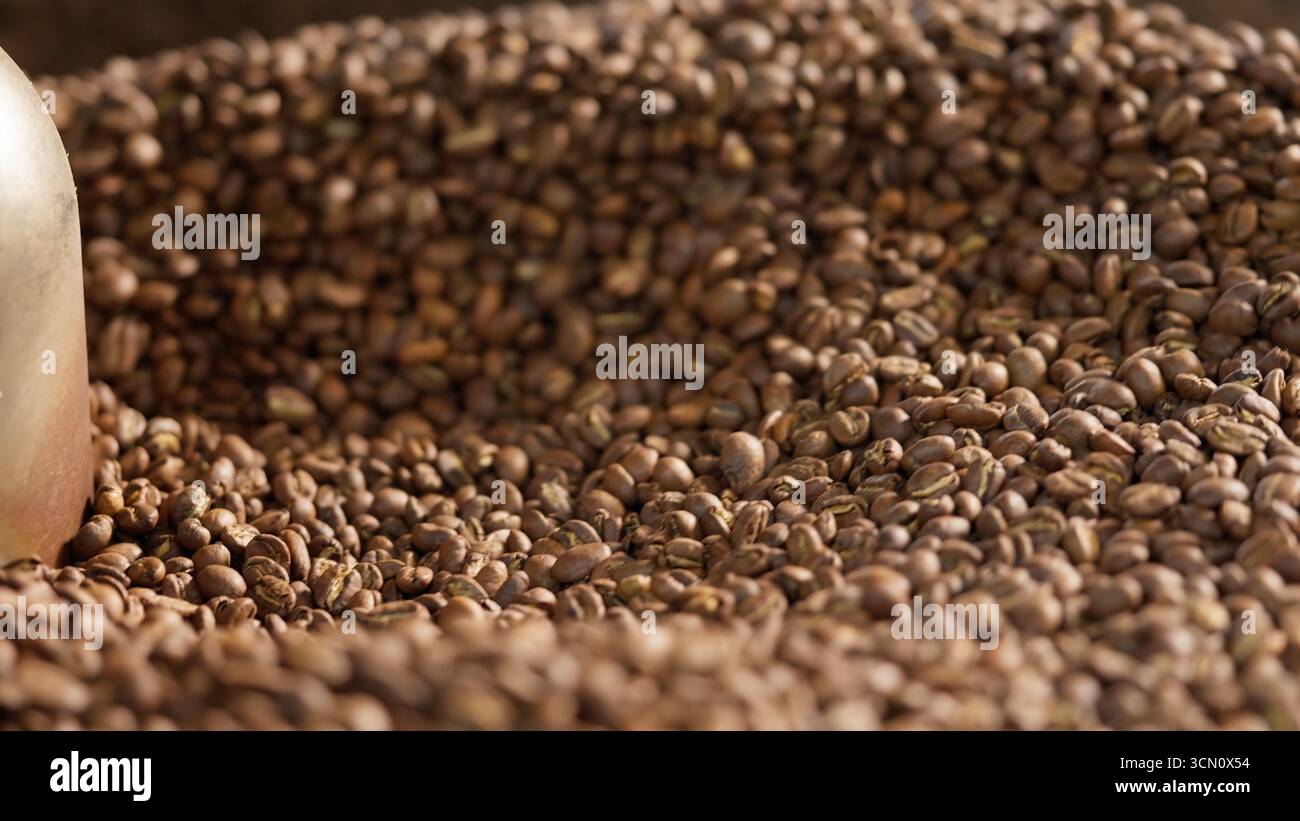 Primo piano di chicchi di caffè tostati che si mescolano nel miscelatore, frullano la macchina automatica a tamburo di metallo, mescolando la caffeina di cacao tostato presso lo stabilimento di produzione Foto Stock