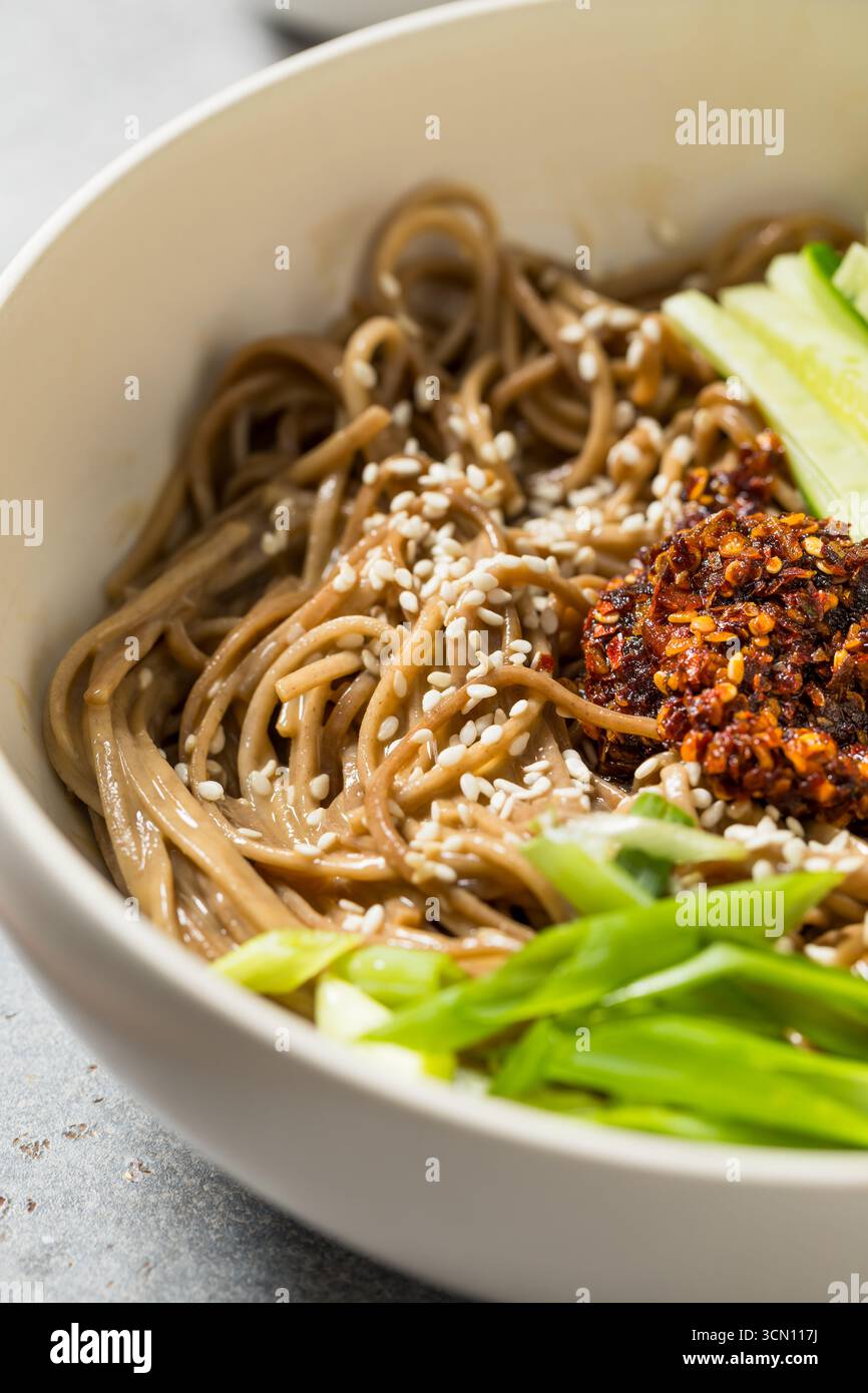 Tagliatelle di sesamo giapponesi asiatiche fatte in casa fredde con cetriolo e peperoncino Foto Stock