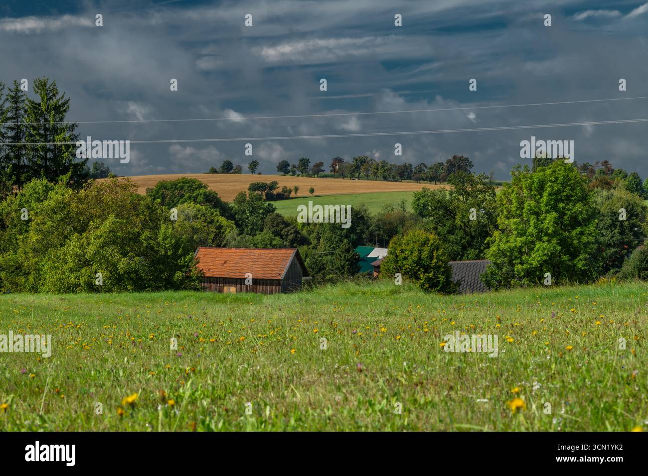 Prato verde e campi con vecchi edifici rurali a Roprachtice CZ 08 31 2025 Foto Stock