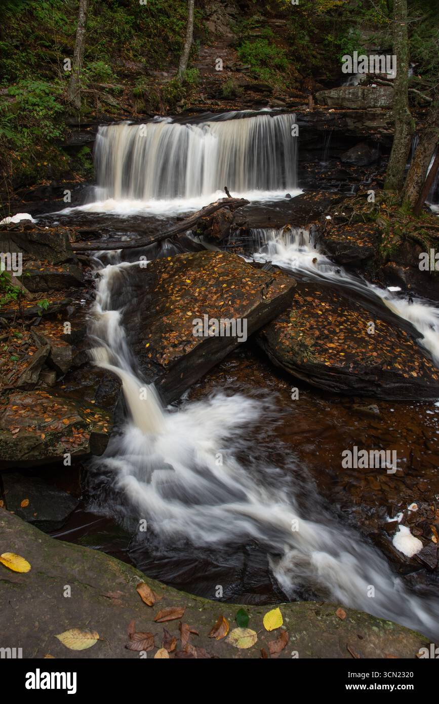 Cascata autunnale al parco statale Ricketts Glen in Pennsylvania Foto Stock