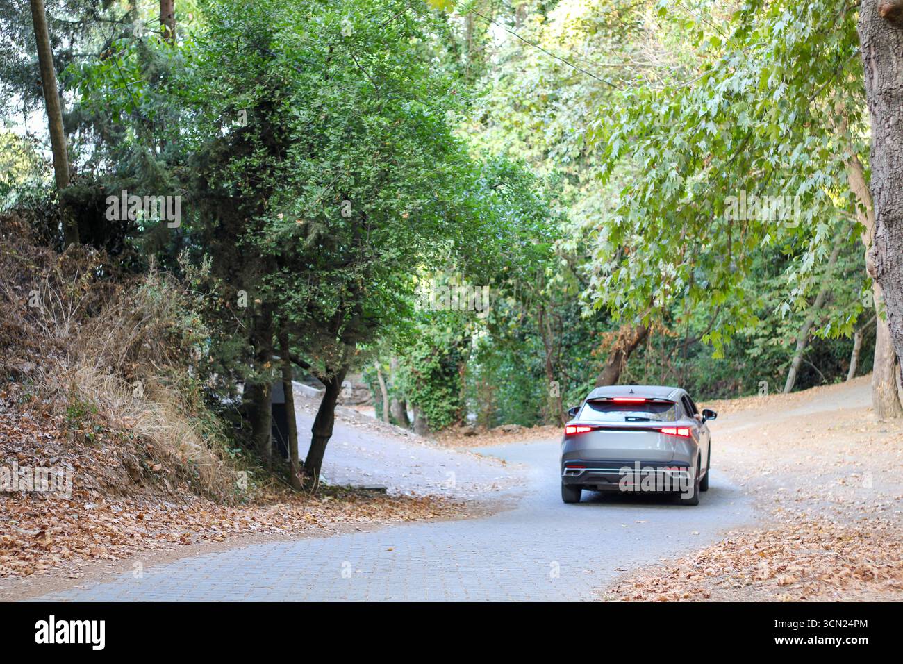 Guida in auto su una strada forestale con foglie autunnali e alberi verdi, simboleggiando il viaggio, la libertà e l'esplorazione della natura. Foto Stock