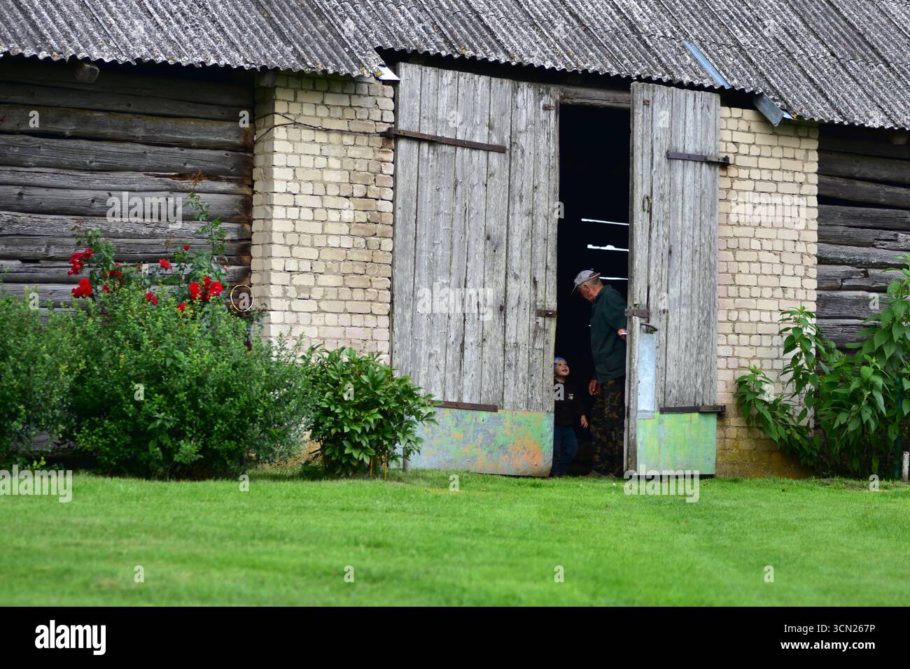 Nonno e nipote in piedi all'interno della rustica porta di un fienile in legno. Il bambino guarda in alto mentre l'anziano spiega, condividendo momenti di vita in campagna in fa Foto Stock