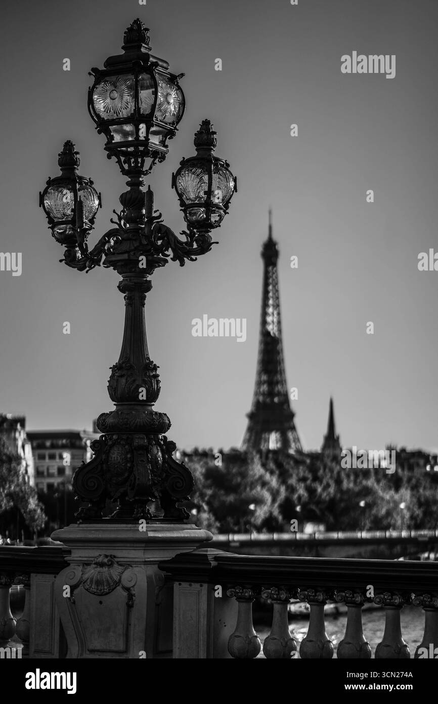 Parigi, la capitale della Francia, è famosa per i suoi monumenti iconici, le strade romantiche e la ricca cultura. Conosciuta per la Torre Eiffel. Foto Stock