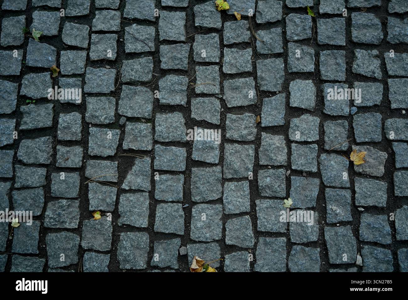 Primo piano di pavimentazioni di ciottoli Foto Stock