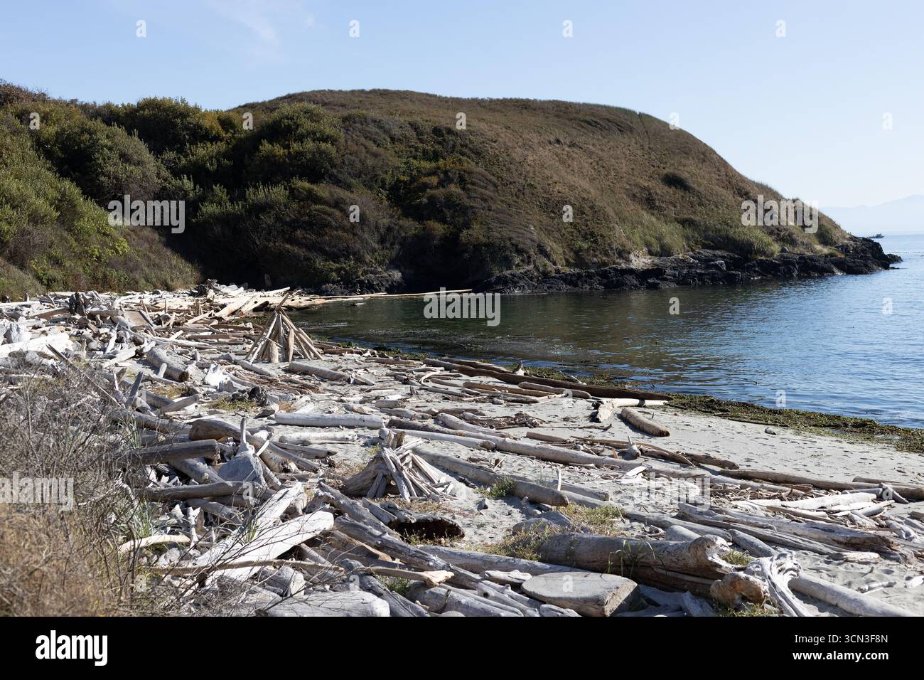 Mucchi di ciottoli sbiancati sulla spiaggia di Grandma's Cove sull'isola di San Juan a Washington, Stati Uniti. Foto Stock