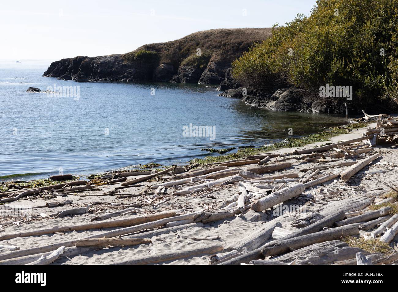 Mucchi di ciottoli sbiancati sulla spiaggia di Grandma's Cove sull'isola di San Juan a Washington, Stati Uniti. Foto Stock