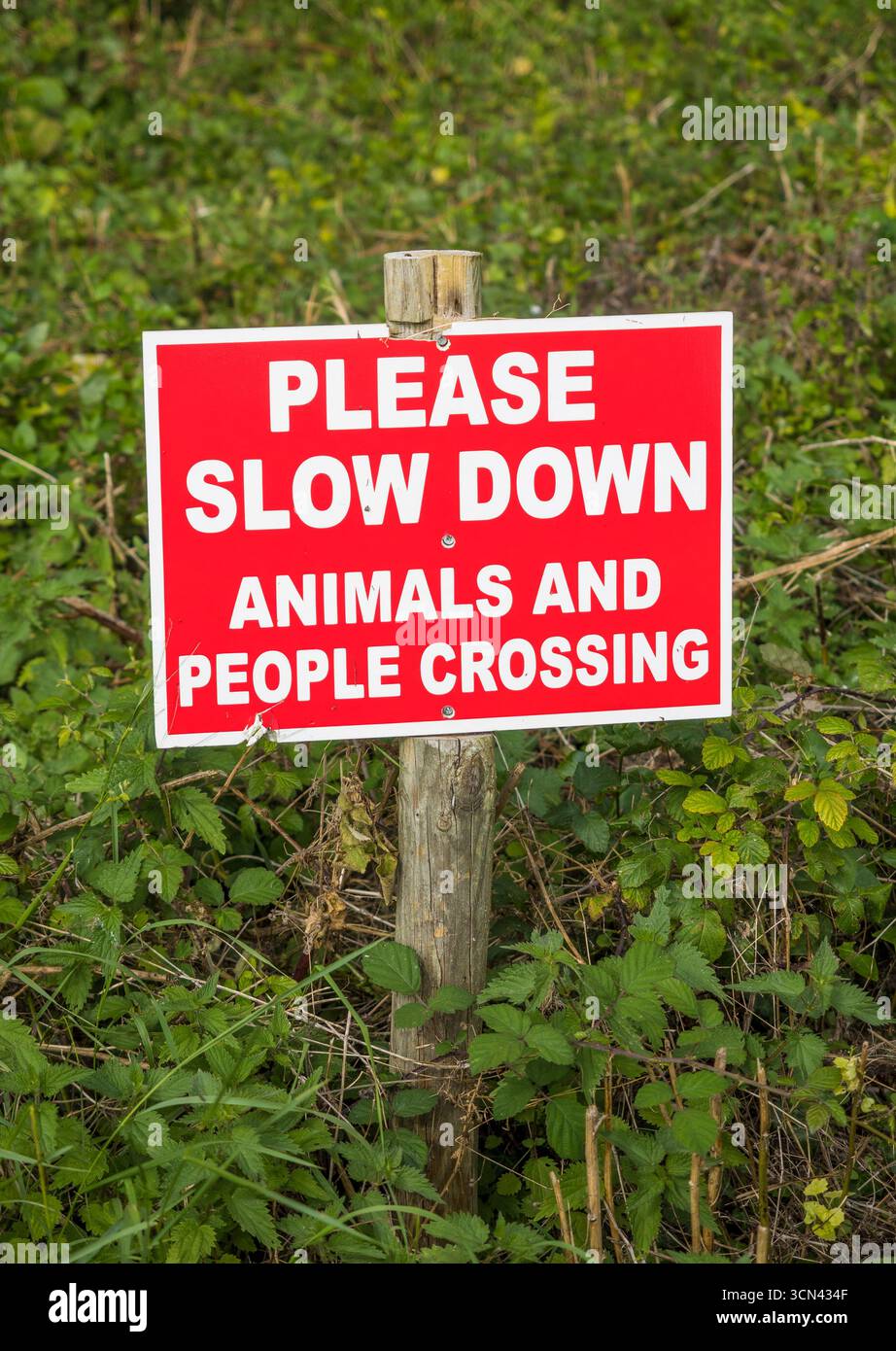 Cartello che chiede, sono persone animali?, The Ridgeway Ancient Trail, Streatley, Berkshire, Inghilterra, Regno Unito. GB. Foto Stock