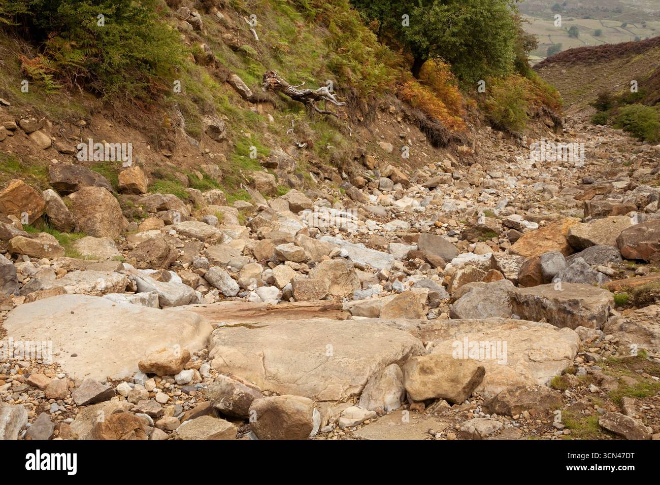 Un Grinton Gill molto asciutto, vicino a Grinton a Swaledale, nello Yorkshire Dales National Park Foto Stock