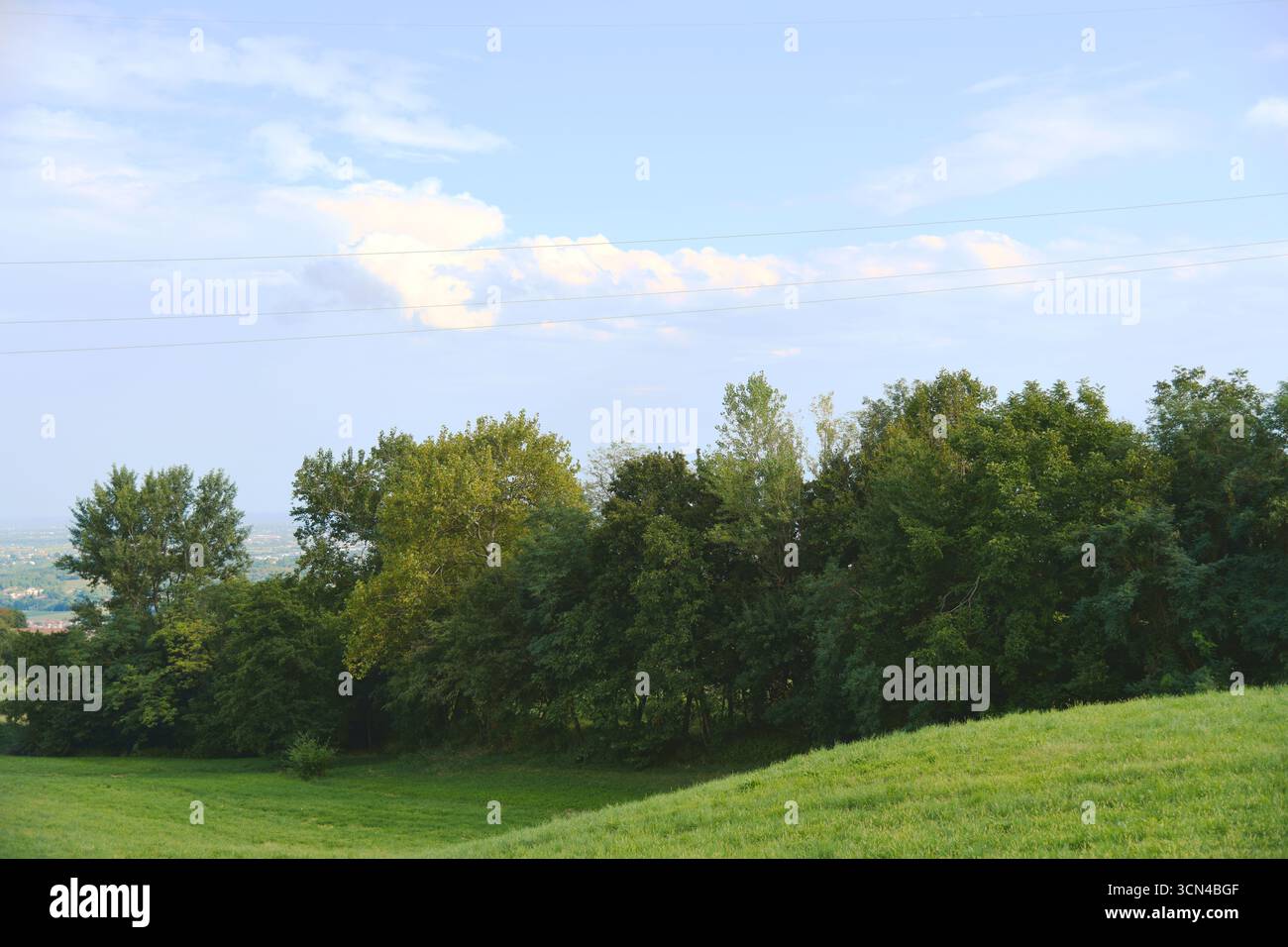 esplorare i prati Foto Stock