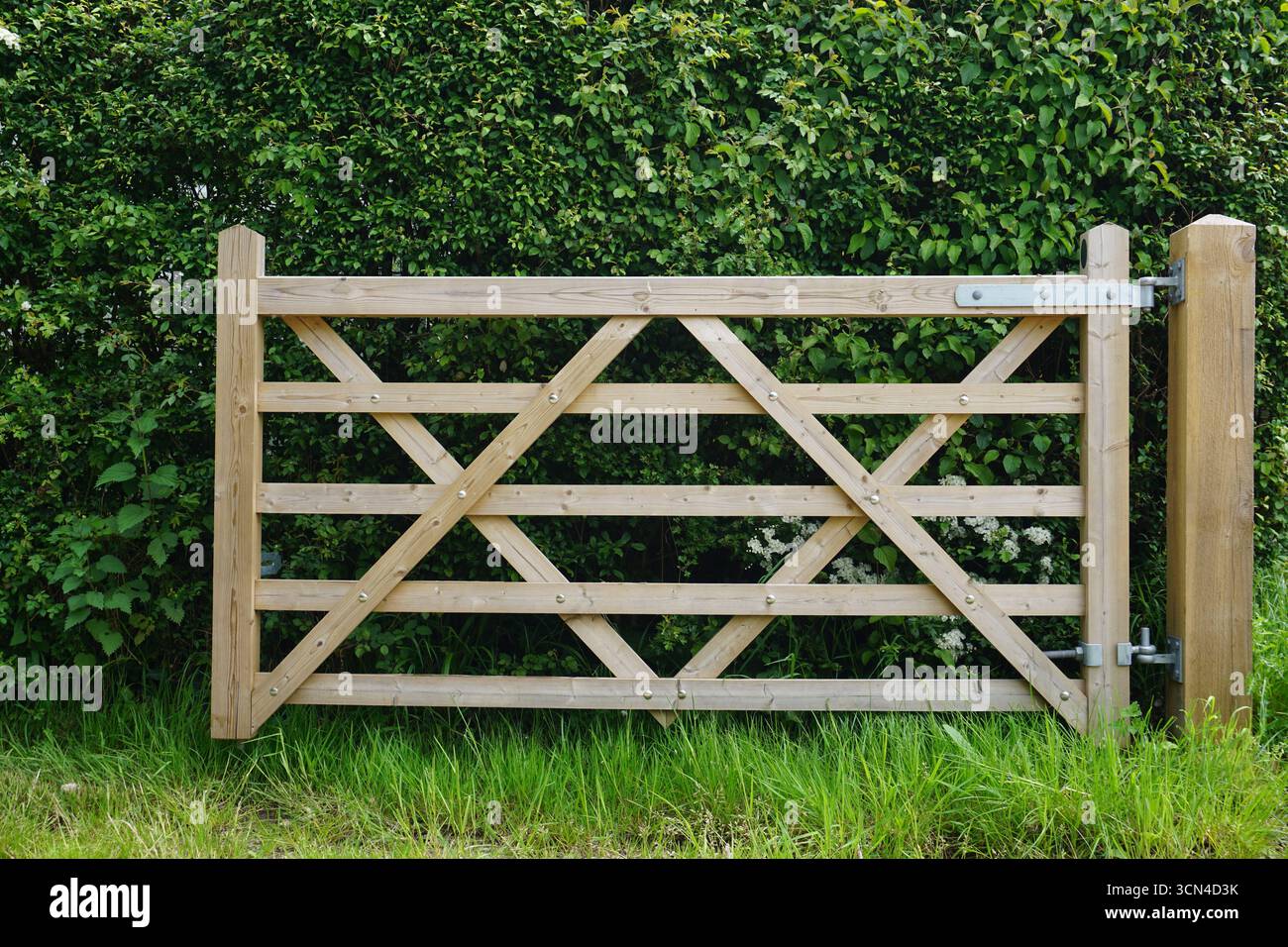 cancello in legno in un ambiente rurale con vegetazione di siepi. cancello paese in posizione aperta Foto Stock