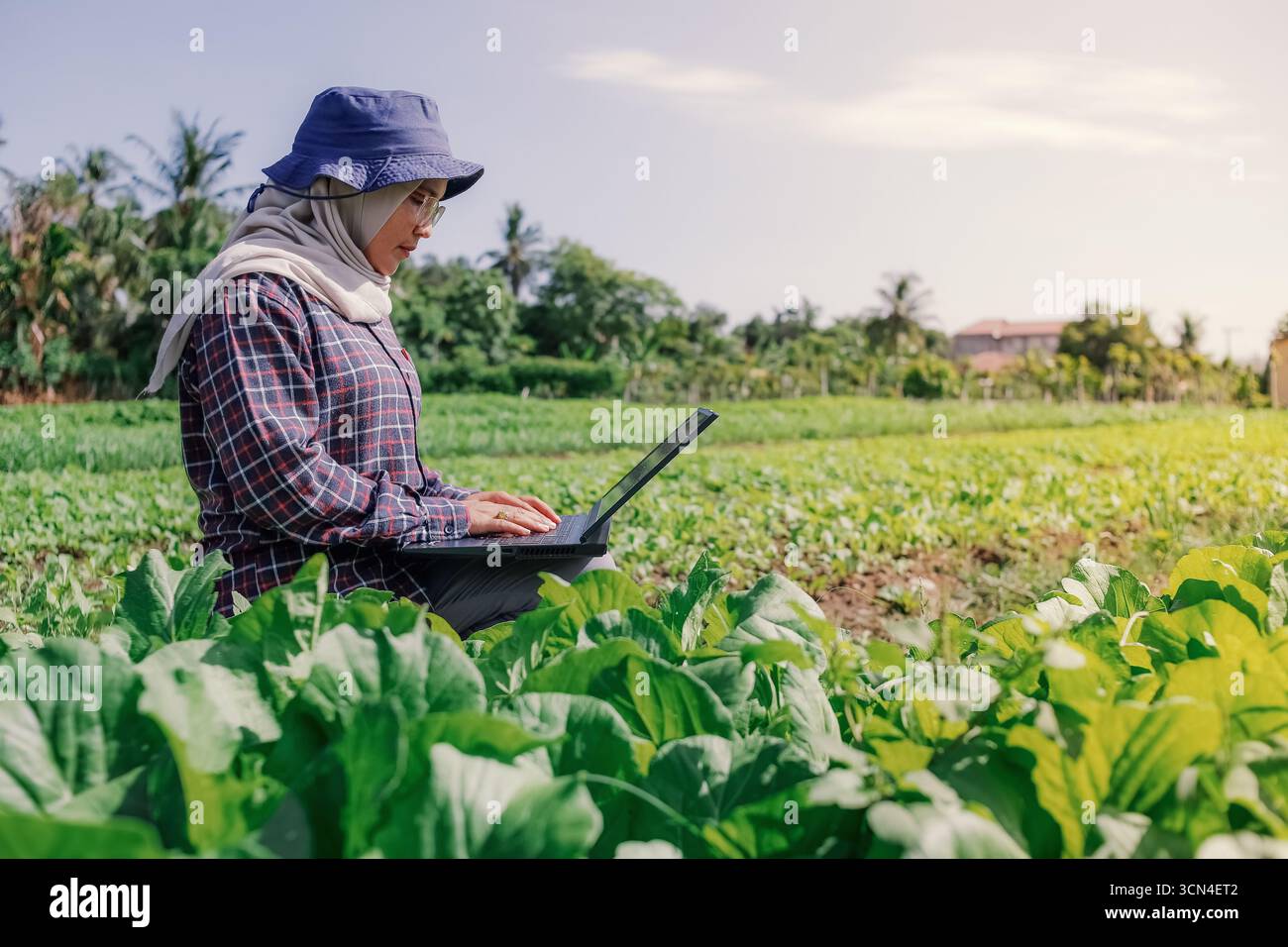 Le femmine agricole utilizzano i computer portatili per tenere traccia dei dati sulle colture o delle metriche agricole nelle loro piantagioni. Foto Stock