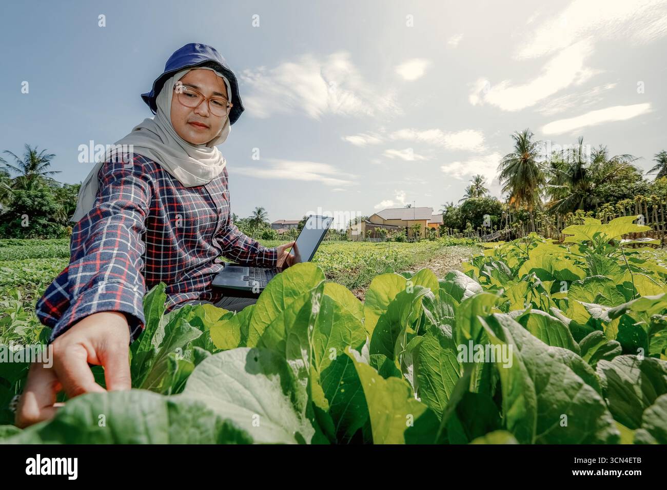 Le femmine agricole utilizzano i computer portatili per tenere traccia dei dati sulle colture o delle metriche agricole nelle loro piantagioni. Foto Stock