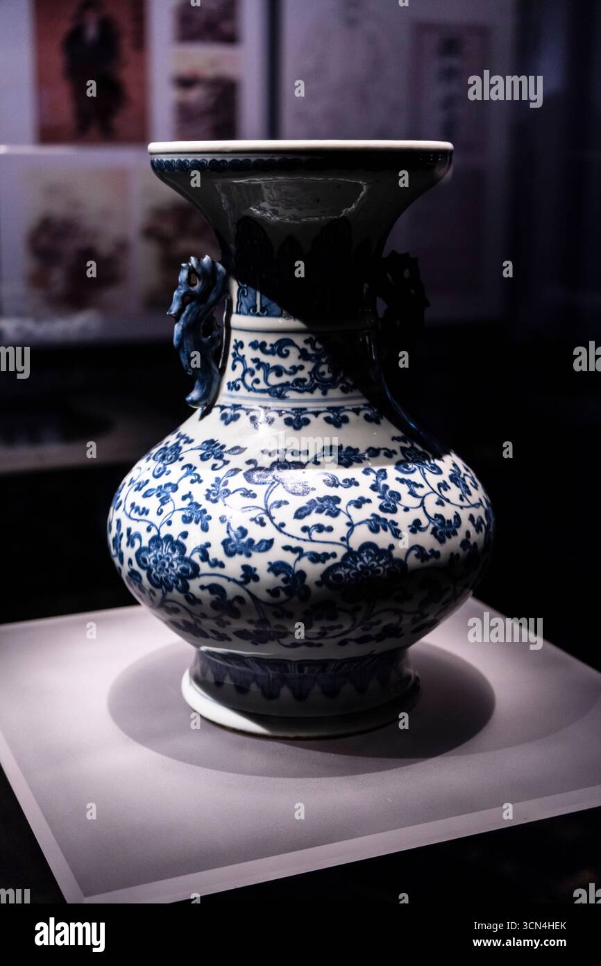 Manici in porcellana Blue-and-Withe con motivo di loto di steli intrecciati, dinastia Qing,(1644-1911), Chengdu , Sichuan, Repubblica Popolare di chi Foto Stock