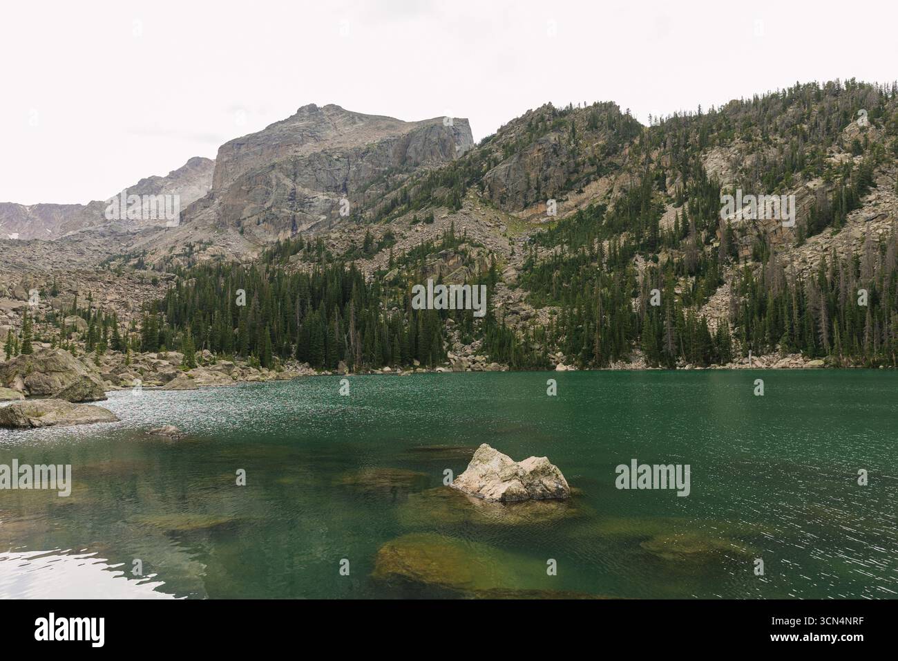 Suggestivo lago alpino con lussureggianti alberi verdi Foto Stock