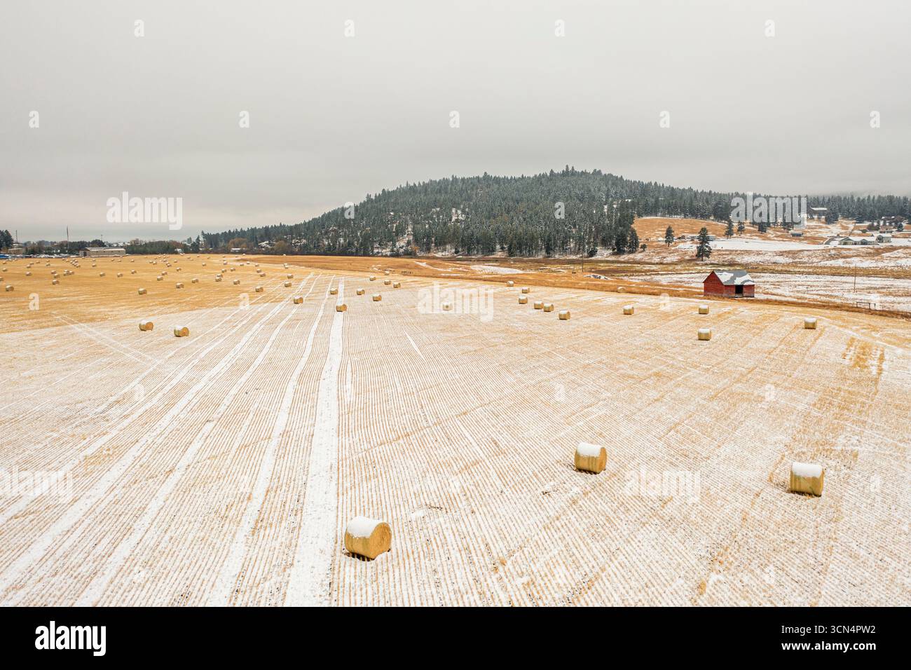 Fresco su un fieno tagliato di recente Foto Stock