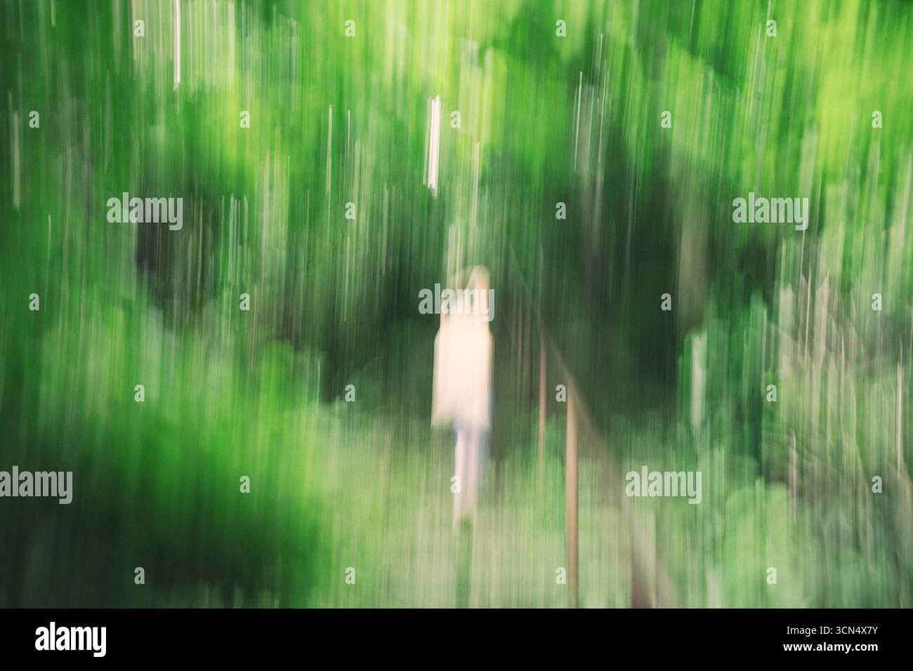 Colpo sfocato di donna in naturel, Kamakura, Giappone Foto Stock