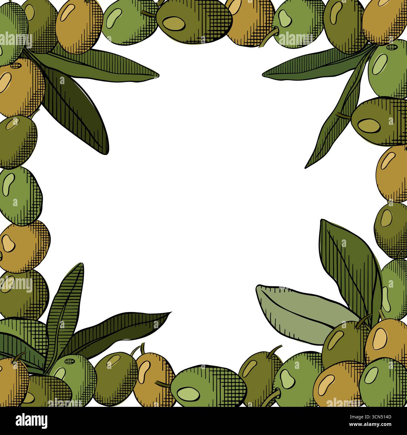 Sfondo di olive. Modello cornice quadrata con foglie e frutti di oliva. Illustrazione colorata con inchiostro a linee grafiche vettoriali. Menu di cucina mediterranea Illustrazione Vettoriale