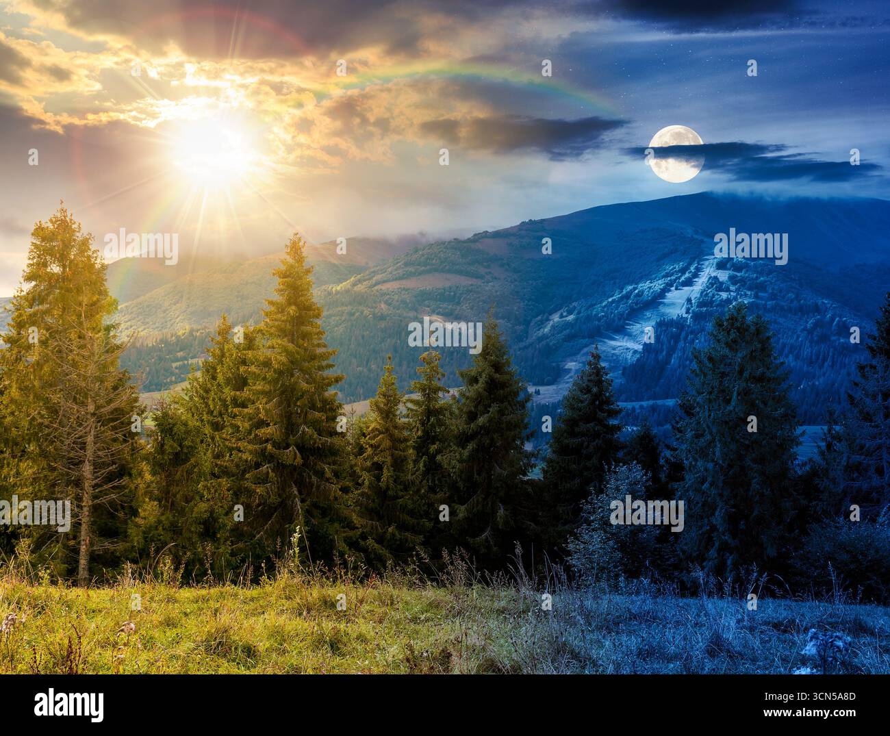 foresta evergreen sul prato erboso delle montagne. concetto di cambiamento di orario diurno e notturno. bellissimo paesaggio con valle lontana. il paesaggio è incredibile con s. Foto Stock