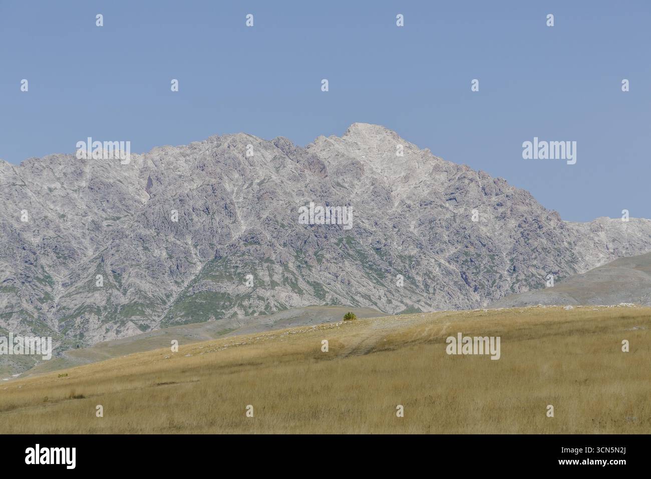 Vista di una maestosa catena montuosa con cime innevate che si innalzano sopra campi dorati sotto un sereno cielo blu, Isola del Gran Sasso D'italia, Abruzzo, Italia. Foto Stock