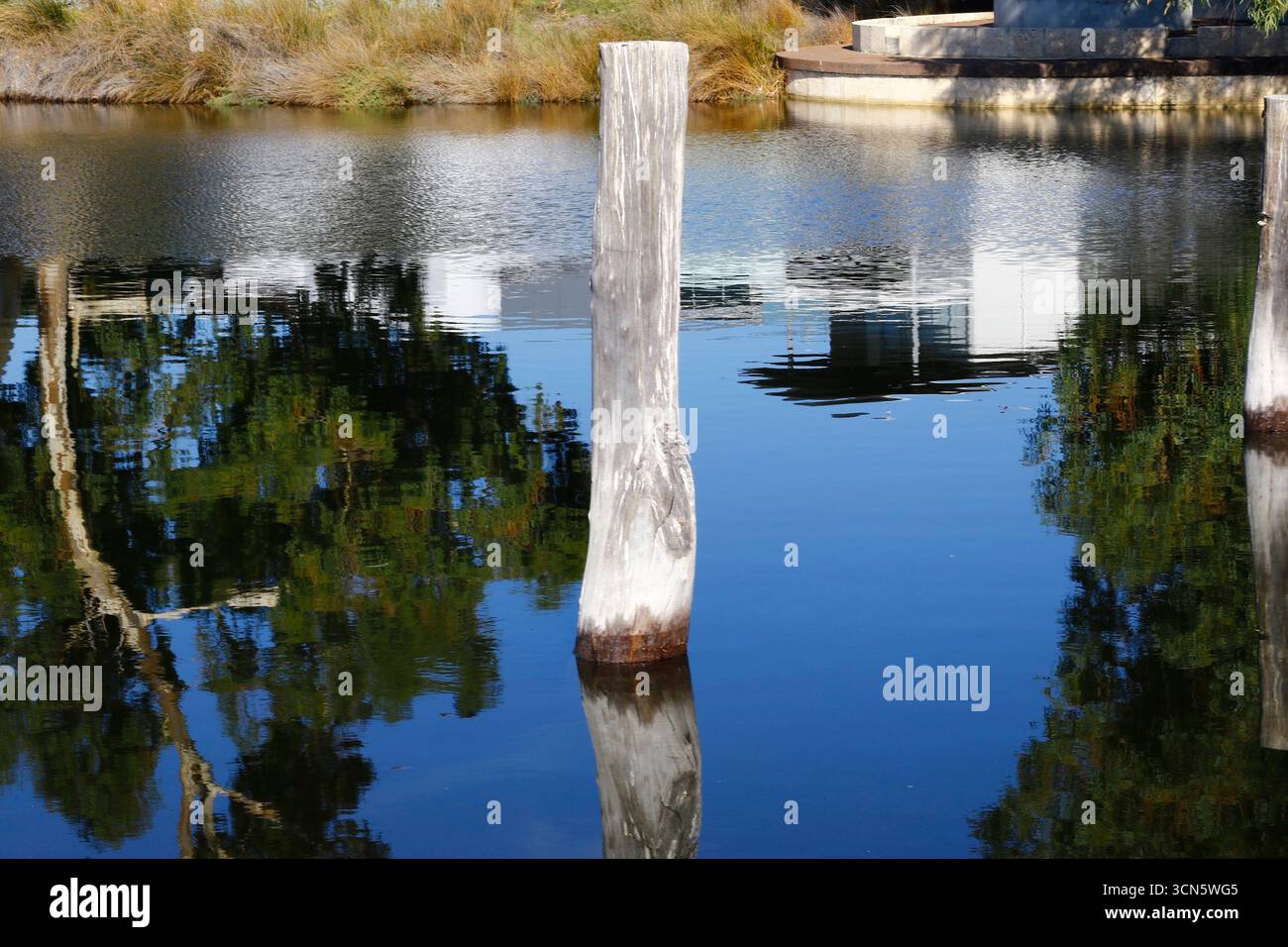 Un palo di legno in un lago, con riflessi di alberi e un edificio visibile sulla superficie dell'acqua. Foto Stock