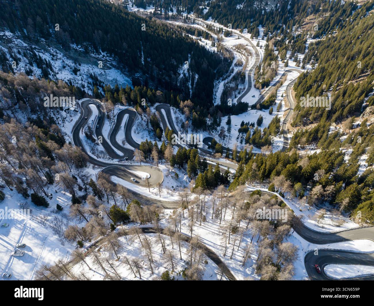 Vista aerea di una tortuosa strada di montagna serpeggia tra pini polverosi di neve, un netto contrasto con la foresta sempreverde, passo Maloja, Maloja, Svizzera. Foto Stock