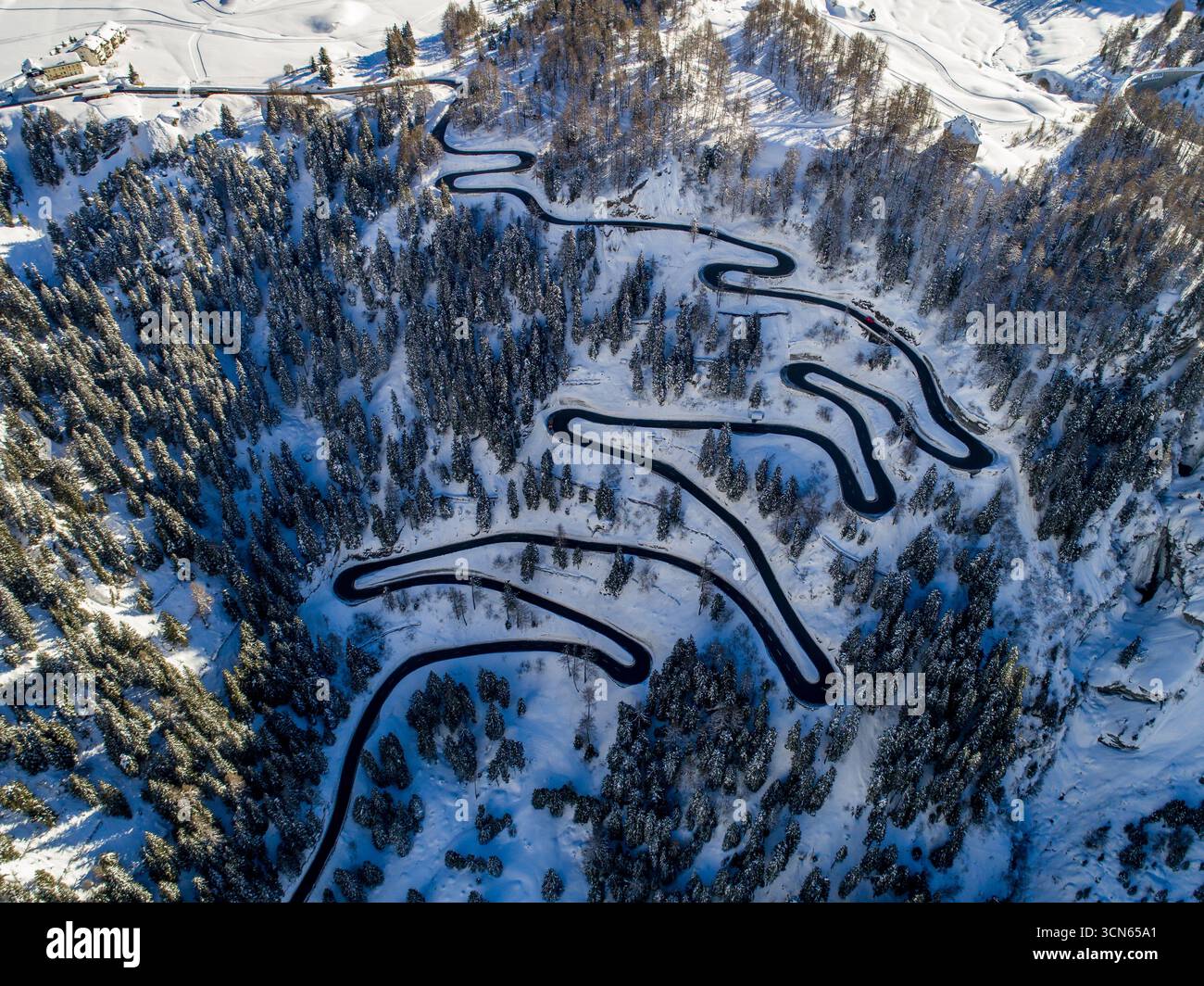 Vista aerea di una strada tortuosa che serpeggia attraverso una foresta piena di neve, un netto contrasto con il paesaggio bianco brillante, passo Maloja, Maloja, Svizzera. Foto Stock