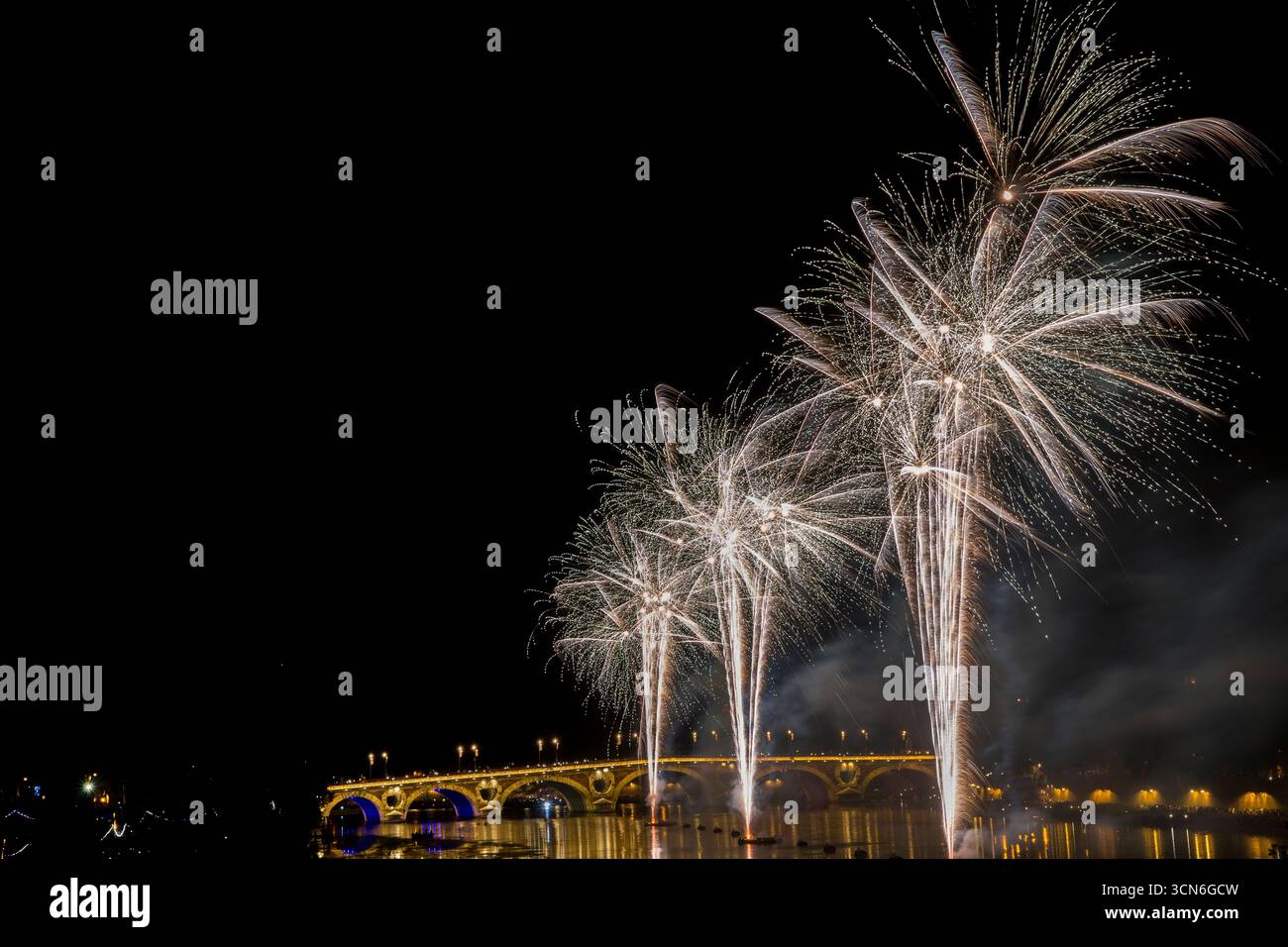 Francia - Tolosa - Pont Neuf - imponenti palme bianche sorgono accanto ad archi luminosi, il fumo che scorre attraverso il fiume di mezzanotte. Foto Stock