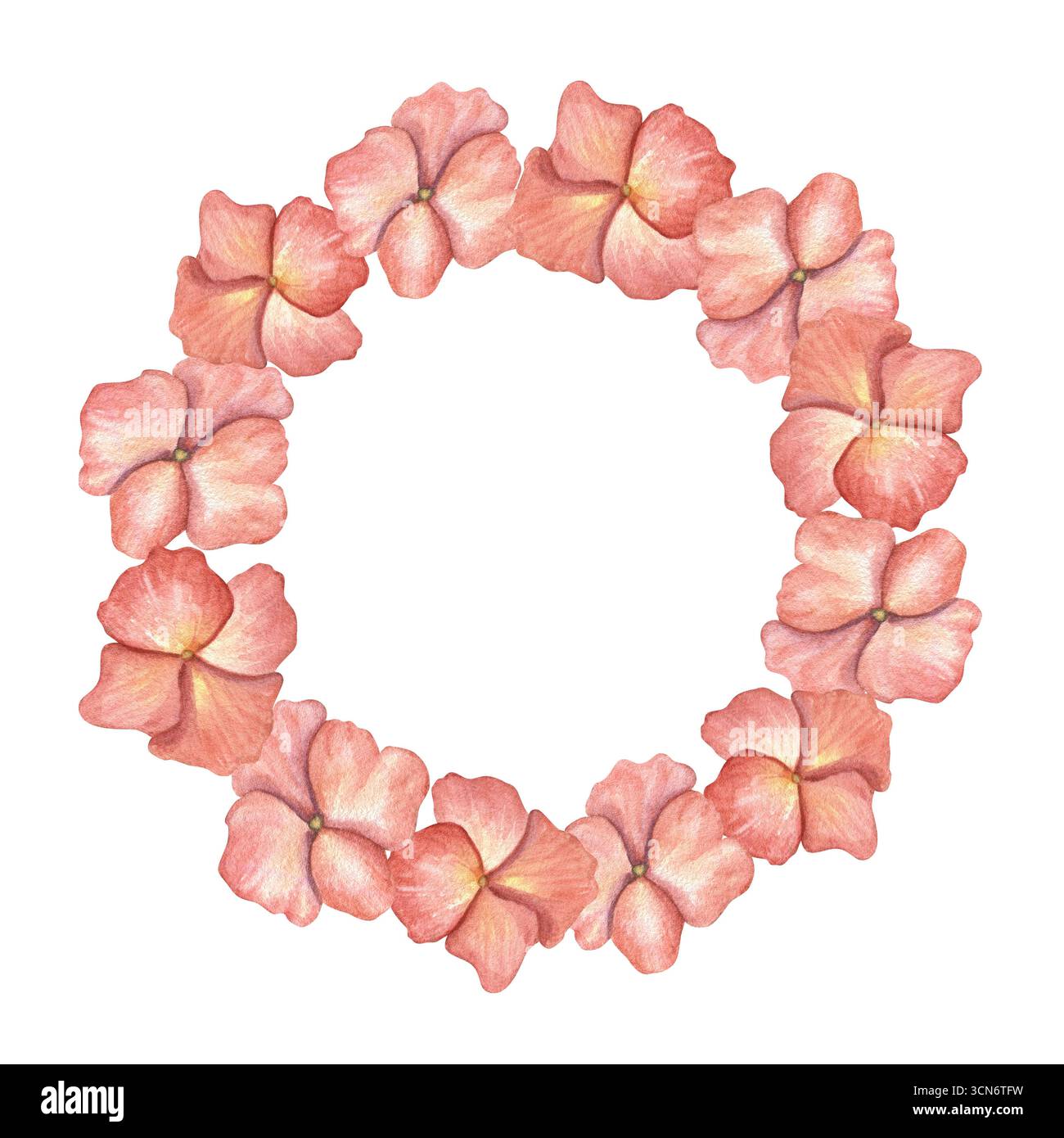 Corona di acquerello rosa corallo ortensia su sfondo isolato. Teste di fiori cornice rotonda con spazio di copia per il testo. Illustrazione di fiori dipinti a mano Foto Stock