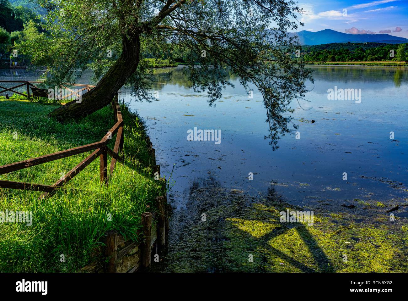 Paesaggio della riserva naturale posta Fibreno, con le acque che riflettono il cielo azzurro e un albero pendente in una giornata di sole. Posta Fibreno, Lazio Foto Stock