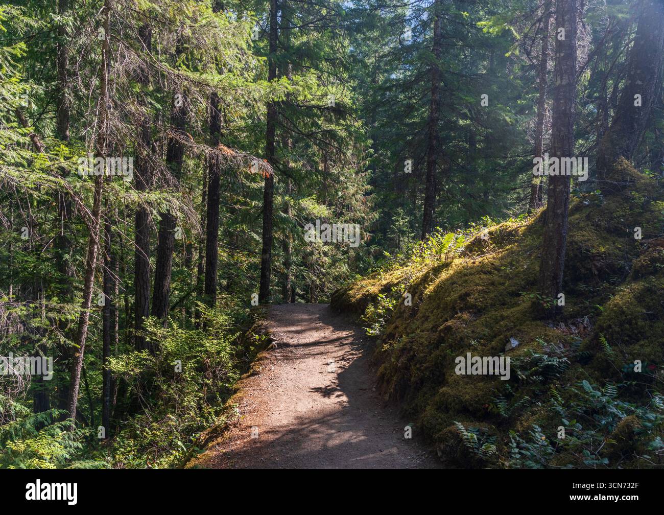 Tornanti sul sentiero Thunder Knob vicino al lago Diablo nel North Cascades National Park Foto Stock