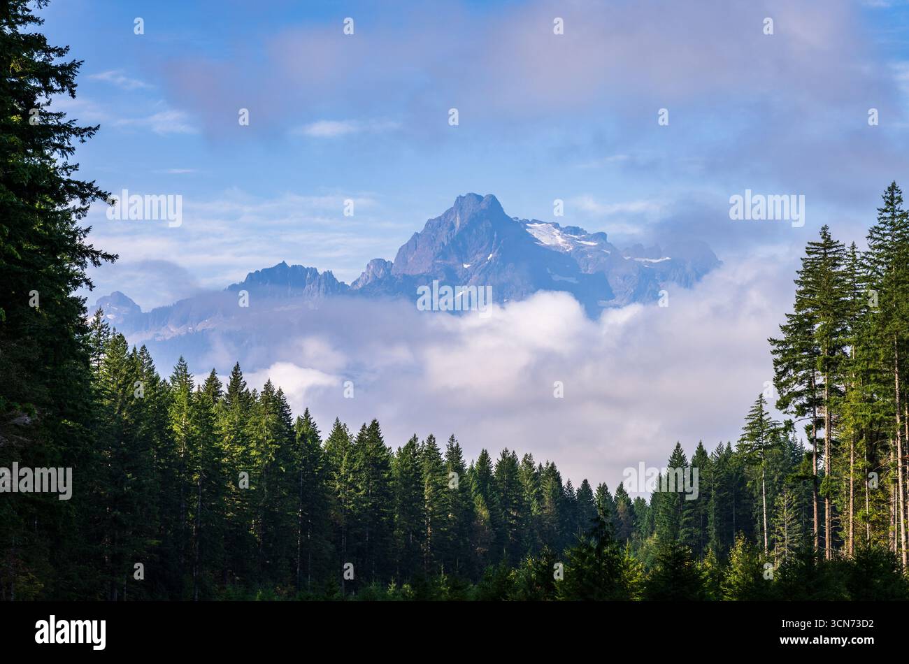 Whitehorse Mountain, vista attraverso nuvole ondulate e nebbia dalla Route 530 a North Cascades nello stato di Washington Foto Stock