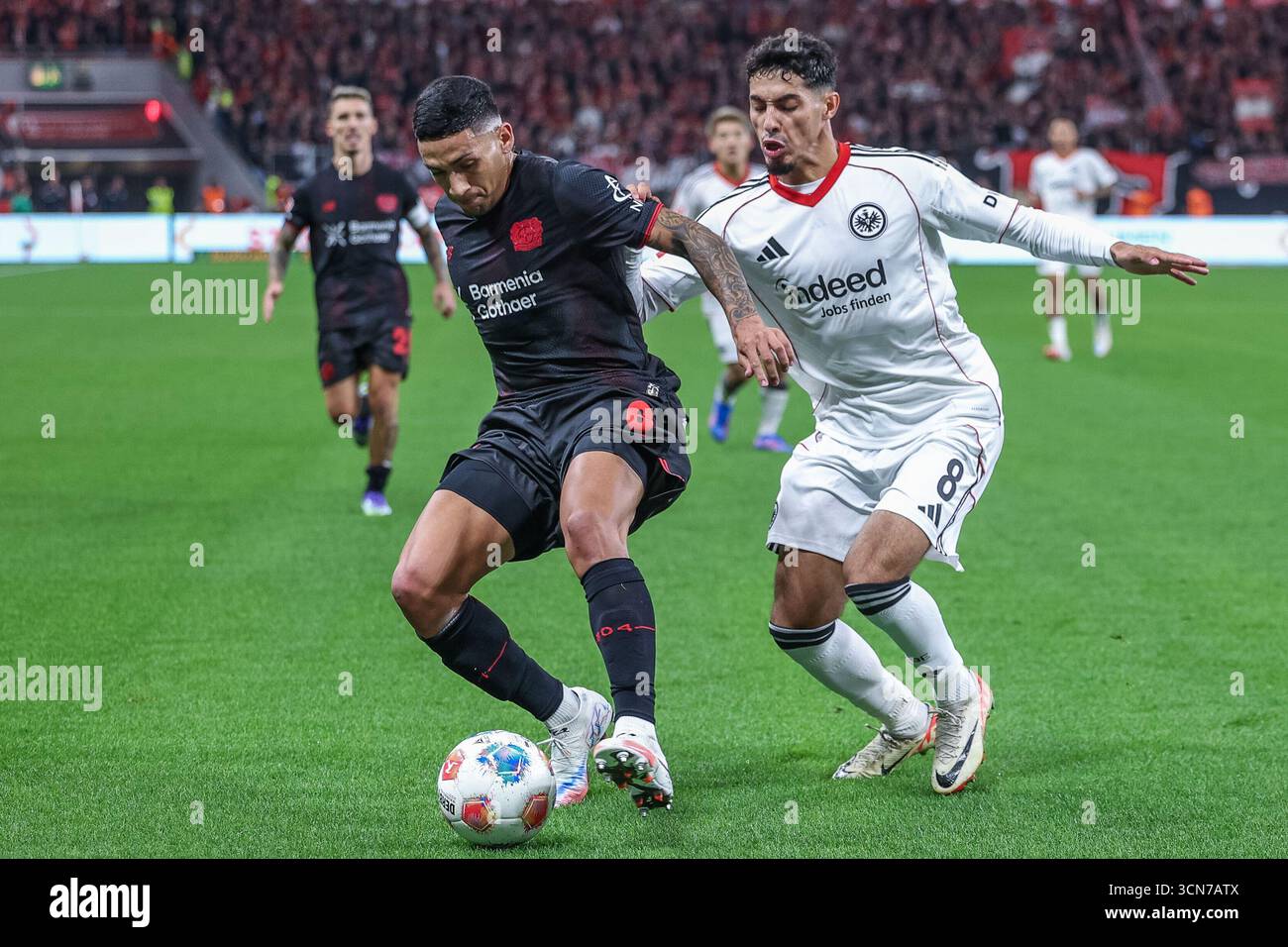 Germania. 12 settembre 2025. Fussball 1. Bundesliga 3. Spieltag Bayer 04 Leverkusen - Eintracht Frankfurt am 12.09.2025 in der BayArena a Leverkusen Equi Fernandez ( Leverkusen ), links - Fares Chaibi (Francoforte), rechts regolamenti DFL vietano qualsiasi uso di fotografie come sequenze di immagini e/o quasi-video. Foto: Revierfoto credito: ddp media GmbH/Alamy Live News Foto Stock