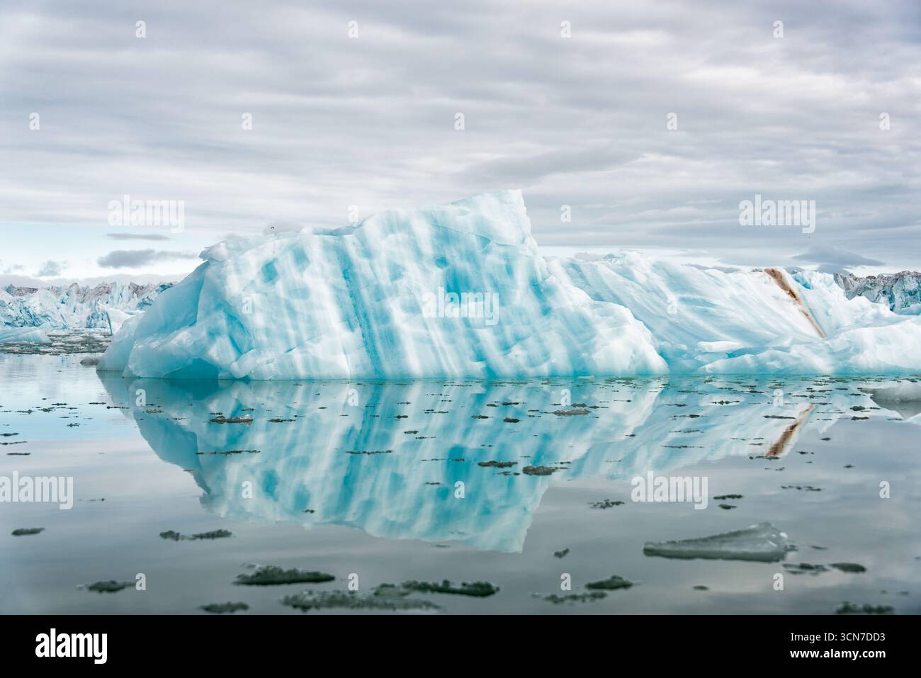 Iceberg in Klerckbukta Nordaustlandet Svalbard // NORDEAUSTLANDET, SVALBARD — Un grande iceberg tinto blu con una consistenza striata galleggia in acqua calma, riflettendone la forma. L'iceberg si trova a Klerckbukta, sulla Nordaustlandet, la seconda isola più grande dell'arcipelago delle Svalbard. Questa regione artica, situata tra la Norvegia continentale e il Polo Nord, è caratterizzata da ampie calotte di ghiaccio e ghiacciai. La posizione remota e il clima duro contribuiscono alla formazione di paesaggi ghiacciati spettacolari. Foto Stock