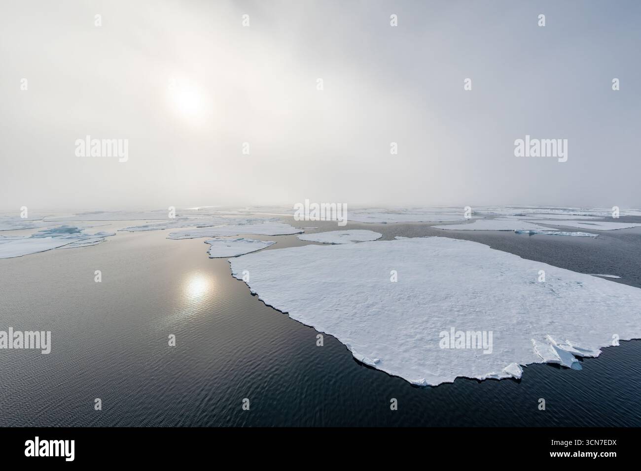 Sjuøyane sette isole Svalbard Oceano Artico Norvegia // SVALBARD E JAN MAYEN — i banchi di ghiaccio galleggiano sull'Oceano Artico vicino all'arcipelago delle sette isole Sjuøyane. Questo gruppo di isole remote fa parte dell'arcipelago delle Svalbard, un territorio norvegese situato tra la Norvegia continentale e il Polo Nord. Le isole sono note per i loro aspri paesaggi artici e sono un habitat significativo per varie specie animali polari. Foto Stock