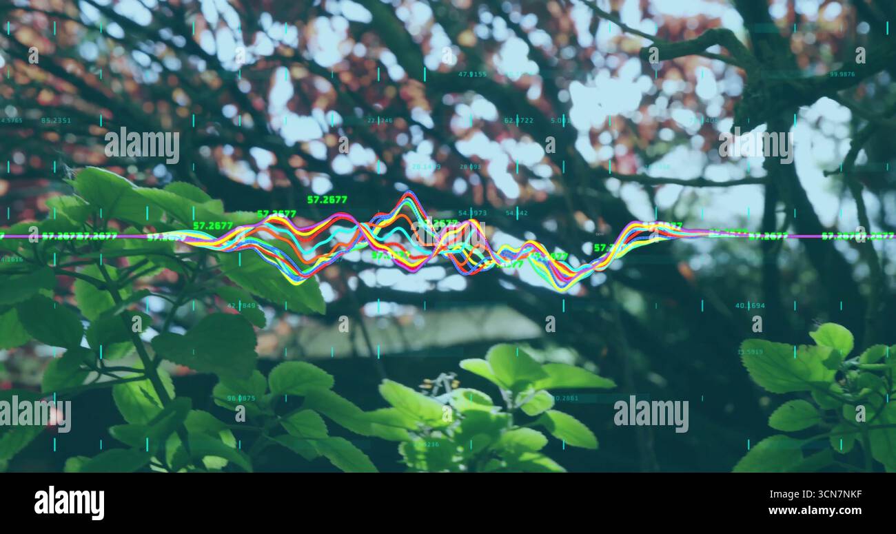 Mostra una sovrapposizione di forme d'onda colorate sul bordo della foresta con dati numerici, arbusti verdi e rami rossi Foto Stock