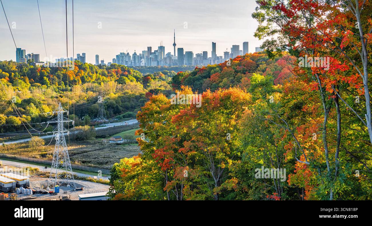 Vista panoramica dello skyline del centro di Toronto, dalla lussureggiante foret nella Don Valley Foto Stock
