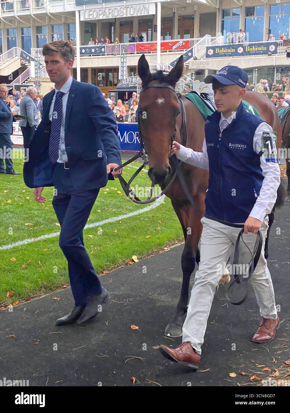 Irish Champions Festival, ippodromo di Leopardstown, Dublino, Irlanda. Maneggiatori, fantini e purosangue nel paddock prima della gara. - Immagine stock catturata con smartphone