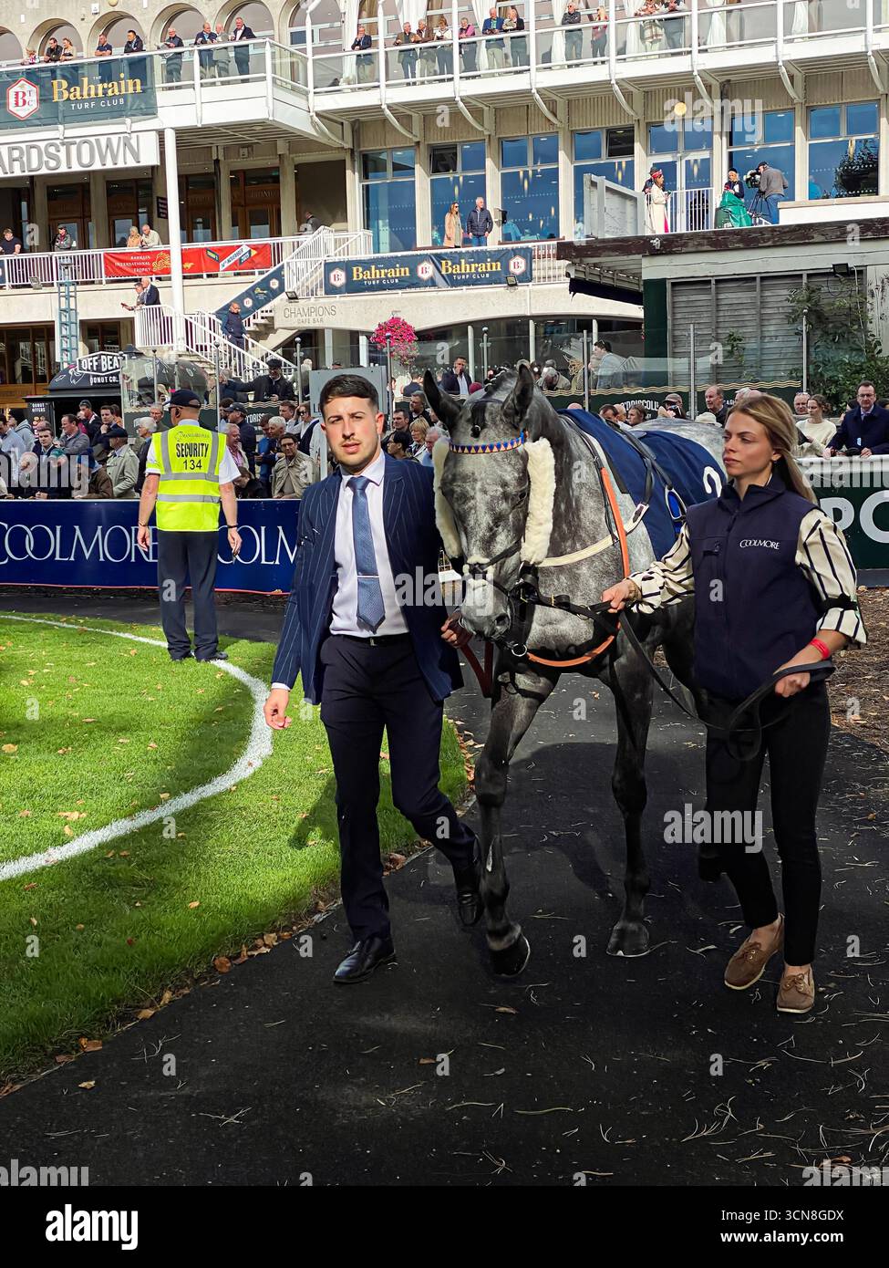 Irish Champions Festival, ippodromo di Leopardstown, Dublino, Irlanda. Maneggiatori, fantini e purosangue nel paddock prima della gara. - Immagine stock catturata con smartphone