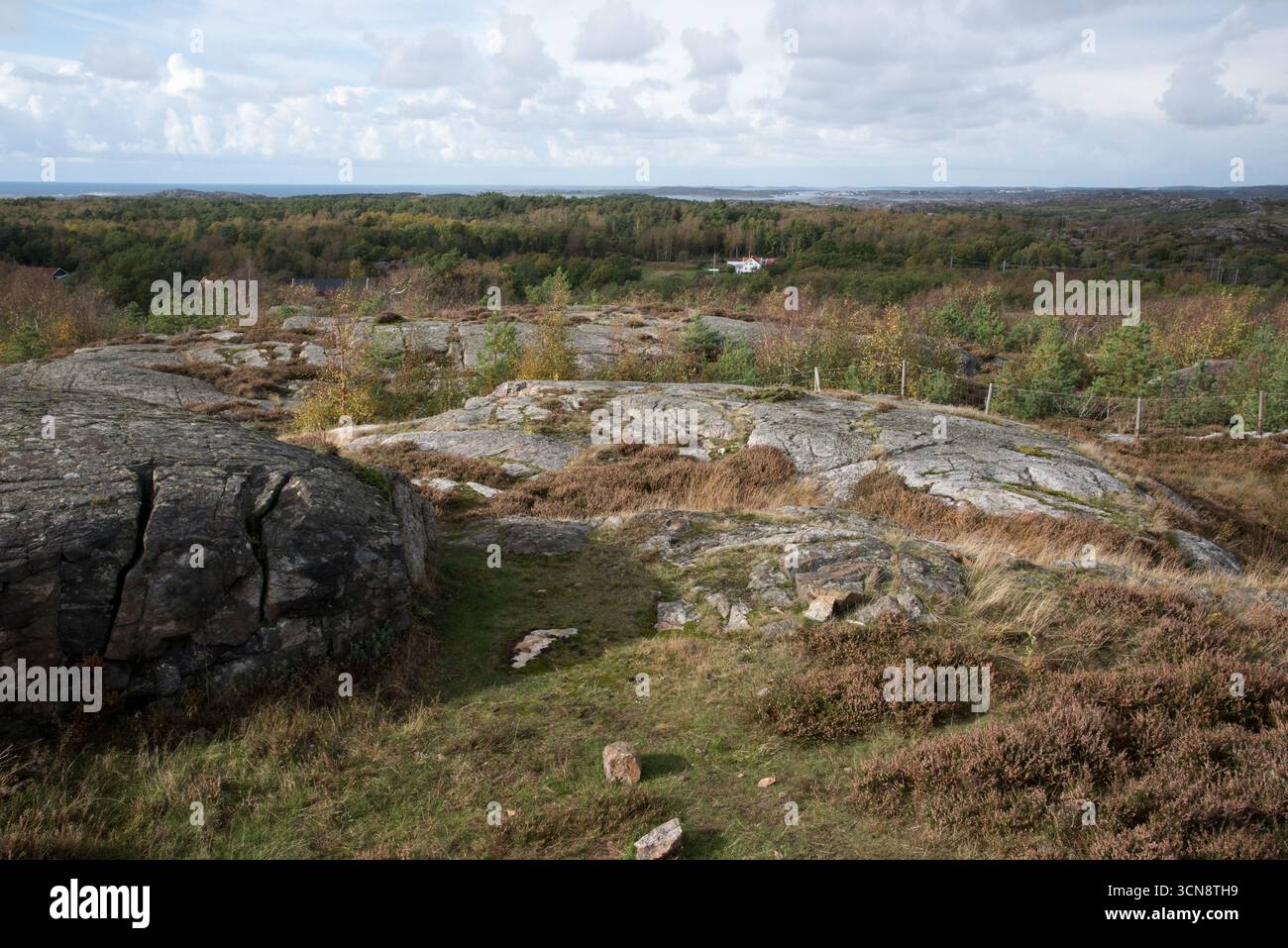 Formazione rocciosa nel campo delle tombe di Pilane nel comune di Tjörns a Västra Götaland in Svezia. Foto Stock