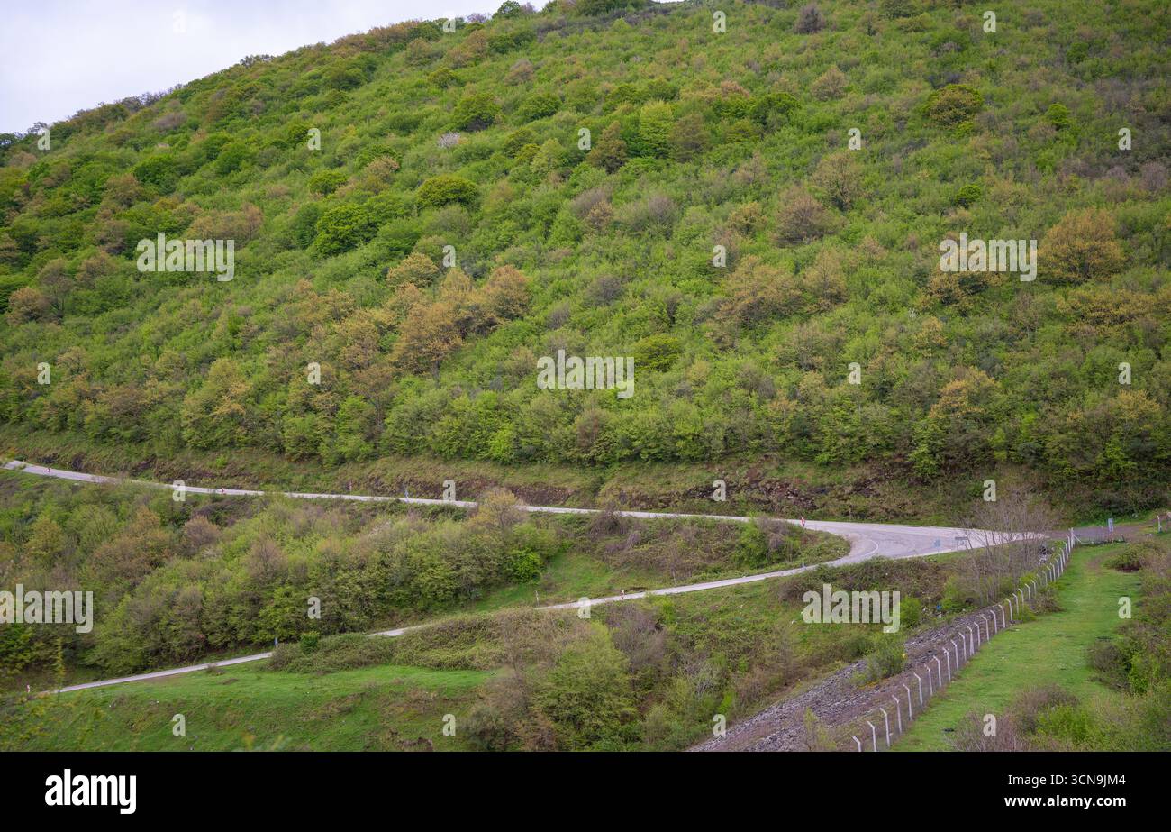 Strade tortuose attraverso lussureggianti colline verdi della foresta. Strade panoramiche tortuose tra una fitta foresta verde su colline ondulate Foto Stock