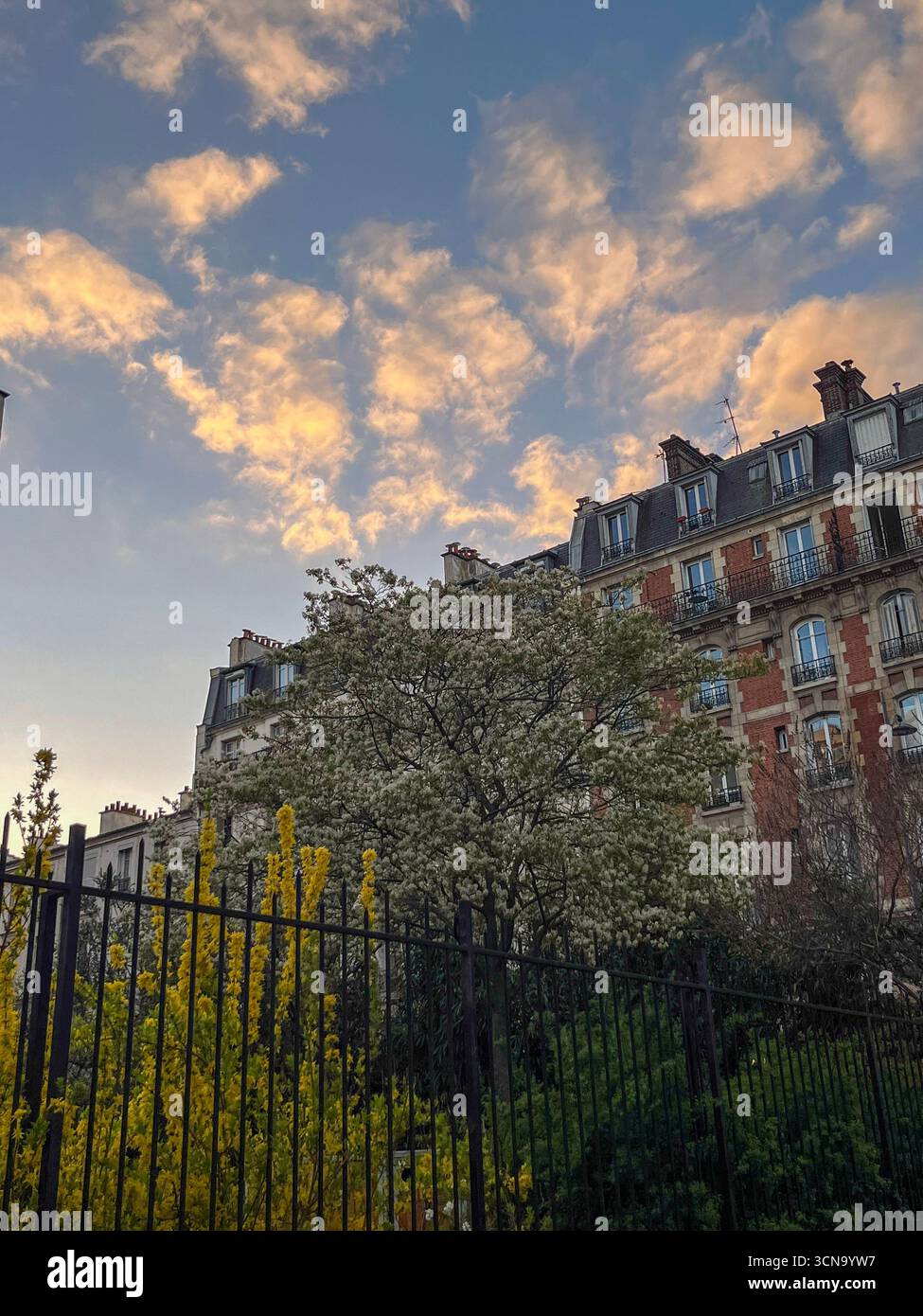 Una strada semplice prima della sera. Una semplice rue dans Paris - Immagine stock catturata con smartphone