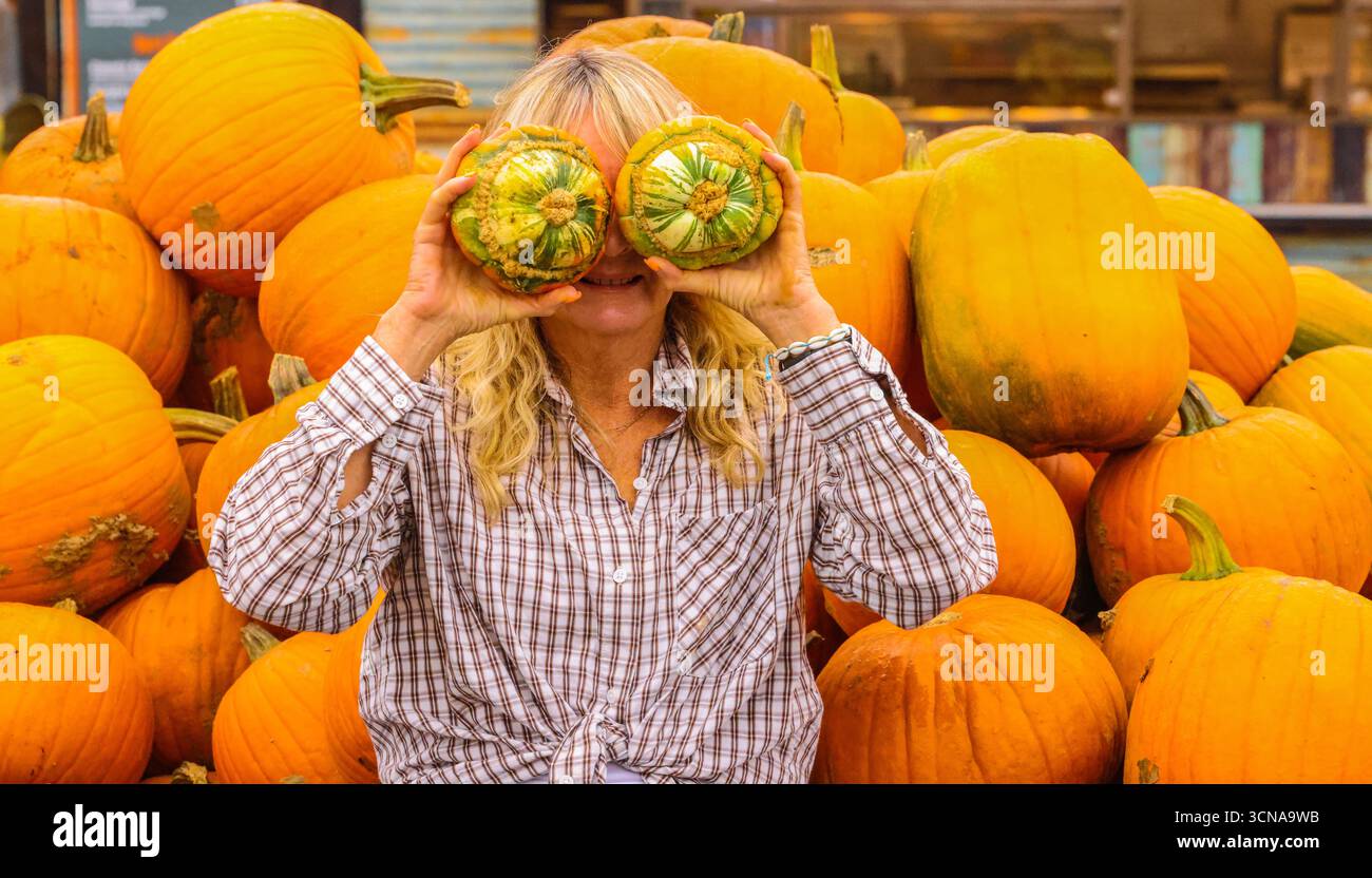 Tulleys Farm West Sussex Inghilterra 20 set 2025 il festival stagionale della zucca prende il via oggi, con campi pieni di zucche e opportunità fotografiche.20 set 2025 fine ottobre Paul Quezada Neiman/Alamy Live News Foto Stock