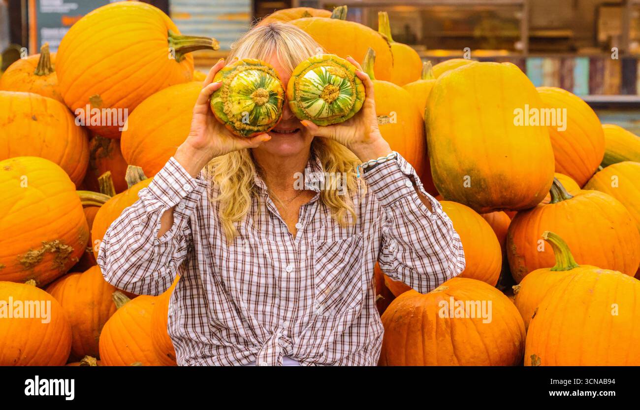 Tulleys Farm West Sussex Inghilterra 20 set 2025 il festival stagionale della zucca prende il via oggi, con campi pieni di zucche e opportunità fotografiche.20 set 2025 fine ottobre Paul Quezada Neiman/Alamy Live News Foto Stock