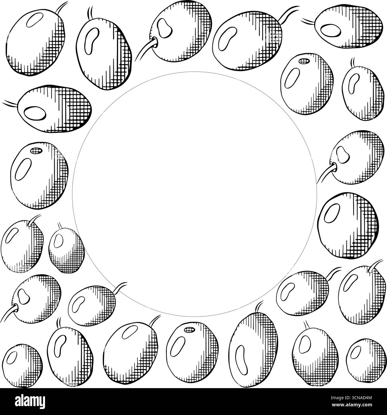 Sagoma quadrata circolare con mirtillo di oliva. Illustrazione in bianco e nero con inchiostro a linee grafiche vettoriali. Da utilizzare per confezioni cosmetiche, negozi, negozi, prodotti, Illustrazione Vettoriale