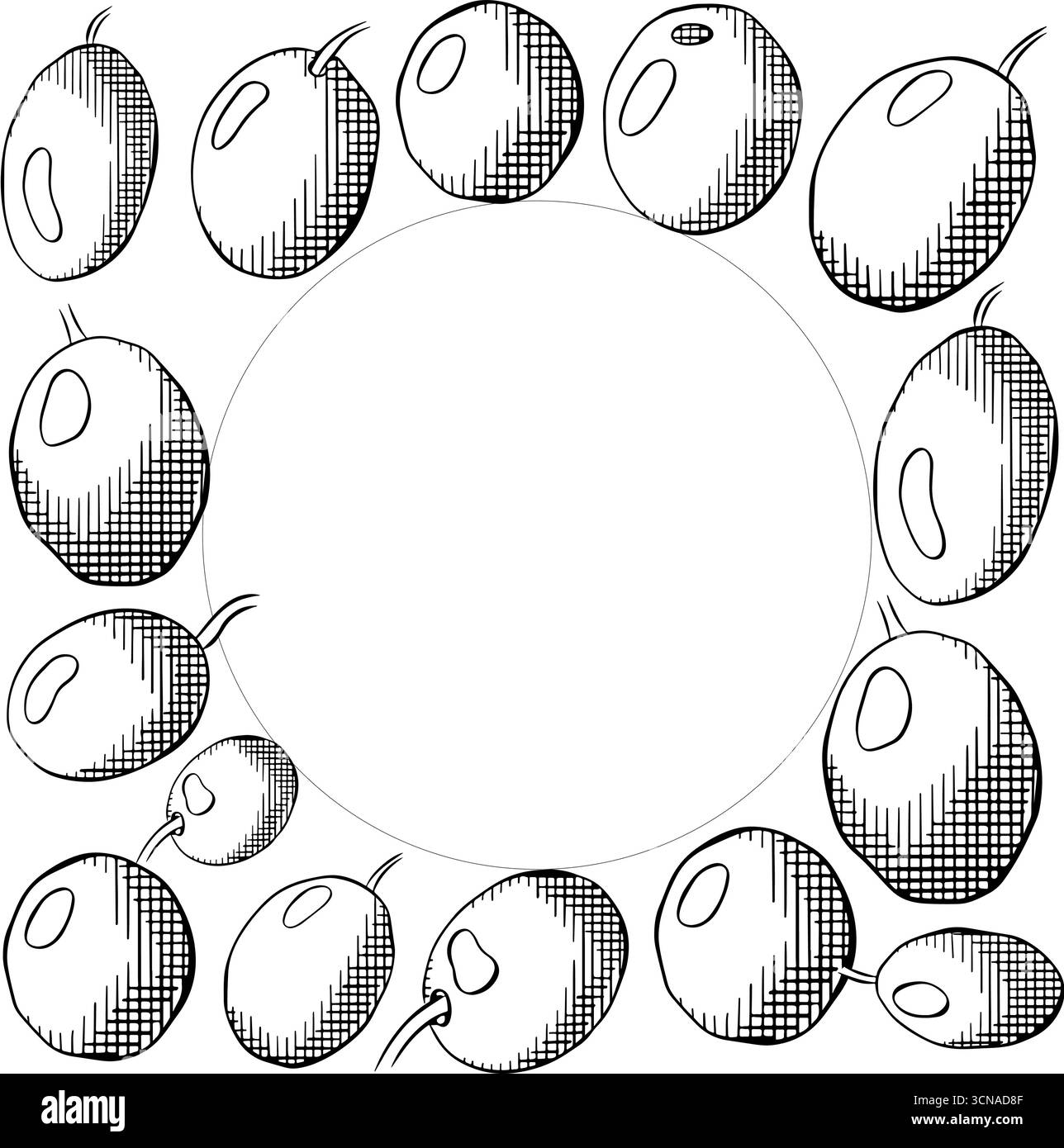 Sagoma quadrata a forma quadrata con bacca nera oliva. Illustrazione in bianco e nero con inchiostro a linee grafiche vettoriali. Per la stampa di t-shirt, web design e saloni di bellezza Illustrazione Vettoriale