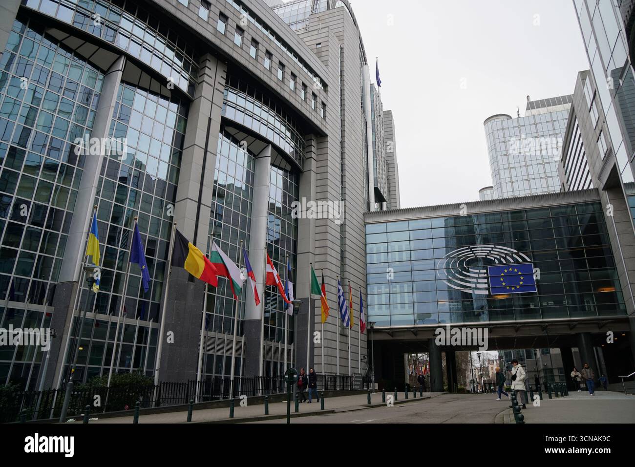 La facciata con bandiere, Parlamento europeo, Bruxelles, Belgio Foto Stock
